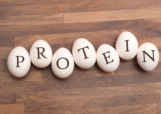 Protein intake calculator