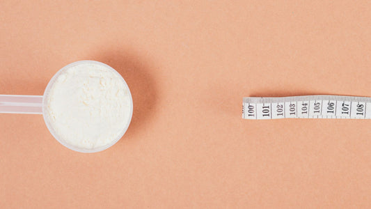 Protein Powder for Weight Gain