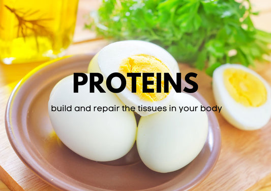 How Much Protein Per Day