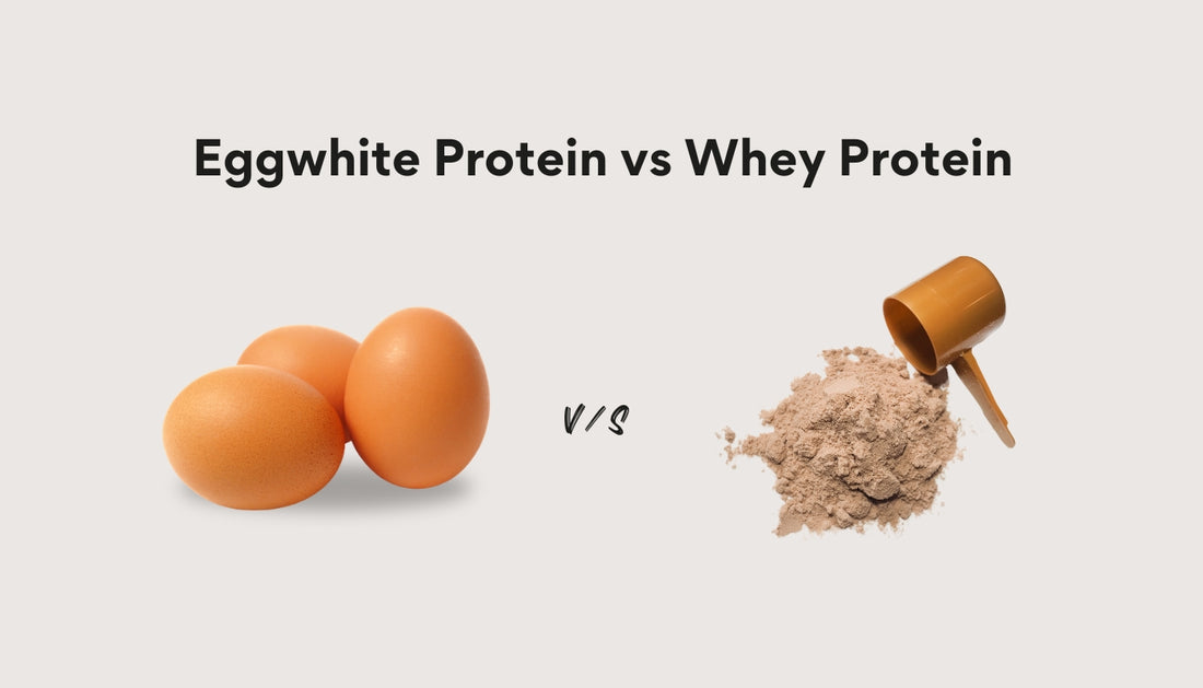 Egg White Protein vs Whey