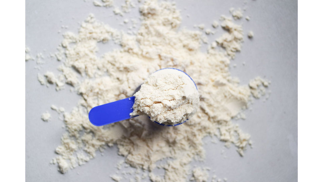 Exploring the World of Dairy-Free Protein Powders with Egghead Nutrition
