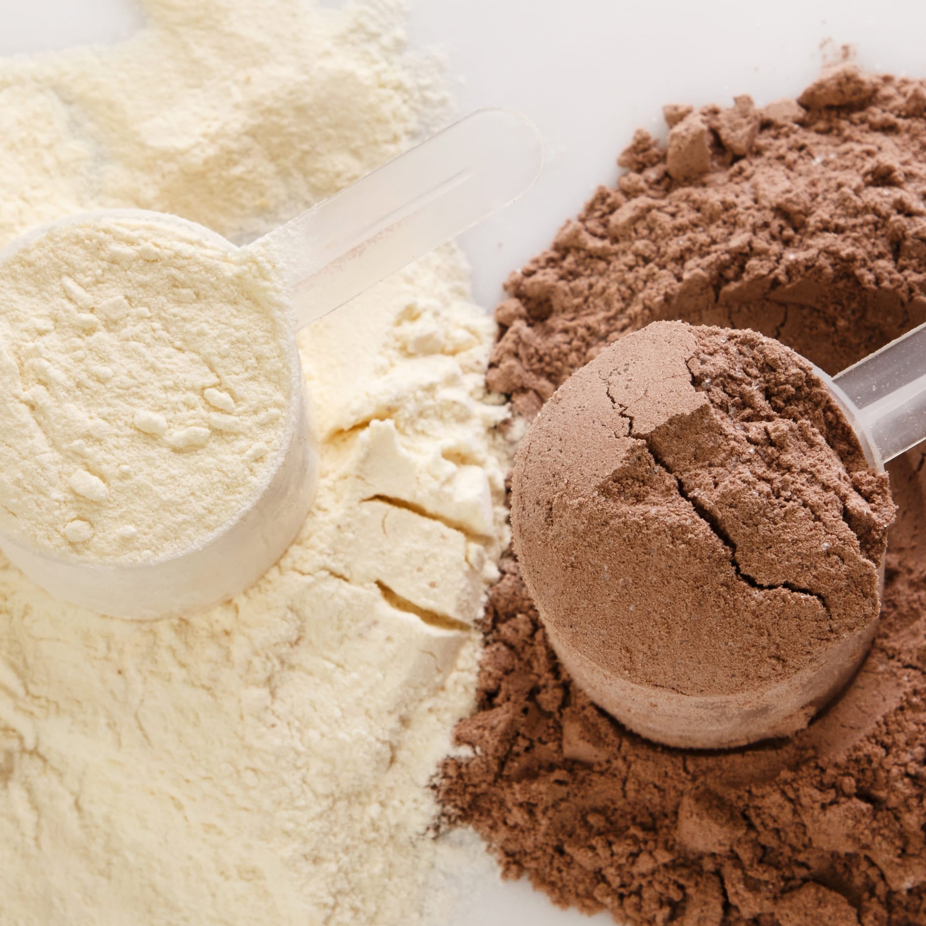 Chocolate and Vanilla Protein Powder